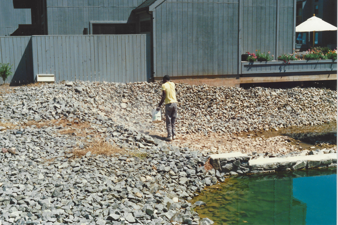 East Pond Construction